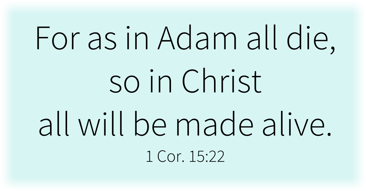For as in Adam all die, so in Christ all will be made alive. 1 Cor. 15:22