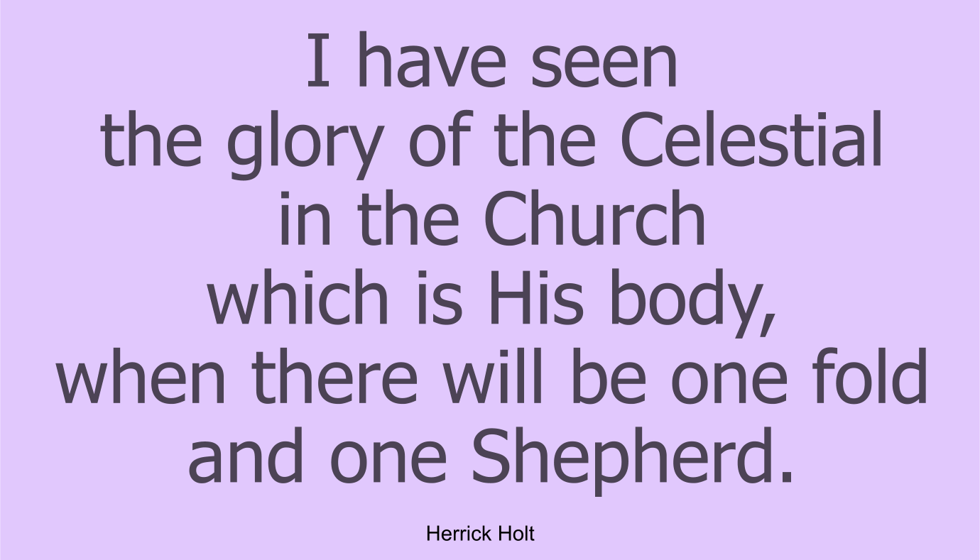 I have seen the glory of the Celestial in the Church which is His body, when there will be one fold and one Shepherd.