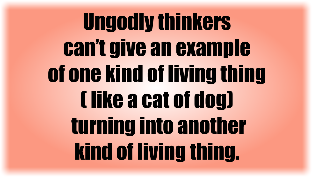 Ungodly thinkers can’t give an example of one kind of living thing ( like a cat of dog) turning into another kind of living thing. To say "countless examples exist" is not an example.
