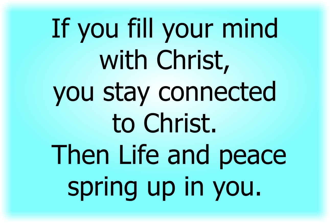 If you fill your mind with Christ, you stay connected to Christ. Then Life and peace spring up in you. 