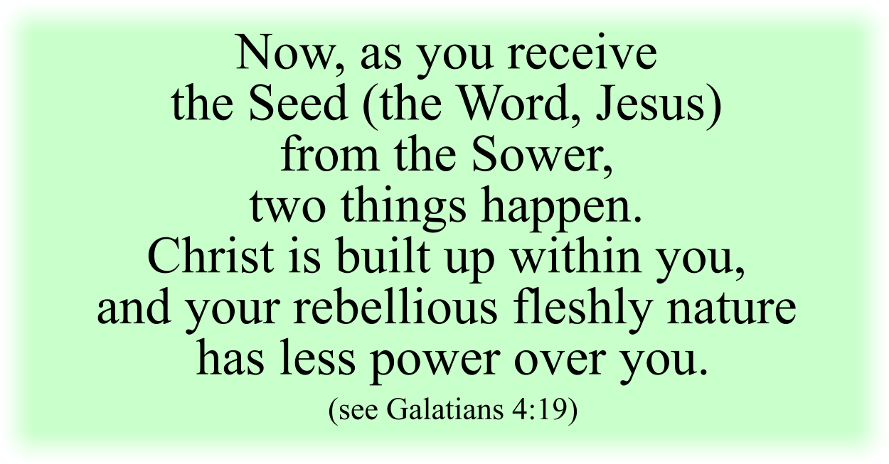 Now, as you receive the Seed (the Word, Jesus) from the Sower