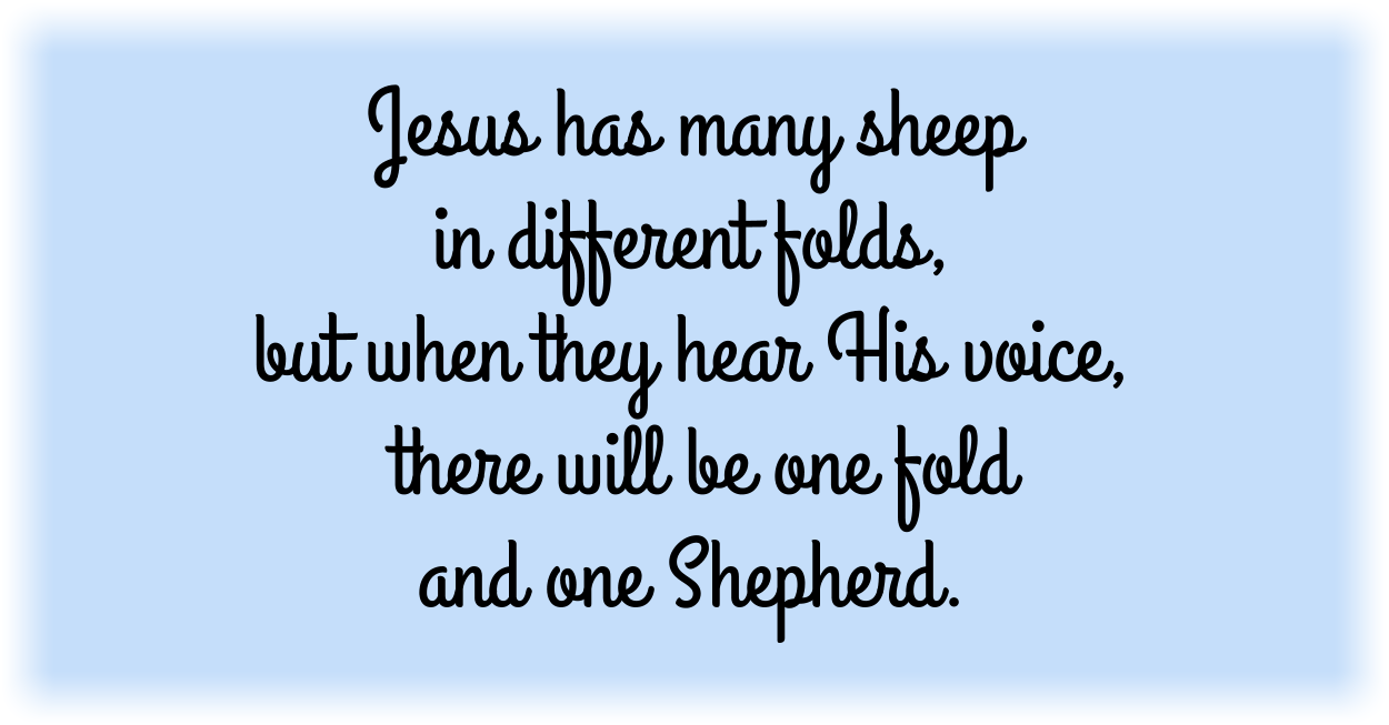 Jesus has many sheep in different folds, but when they hear His voice, there will be one fold and one Shepherd.