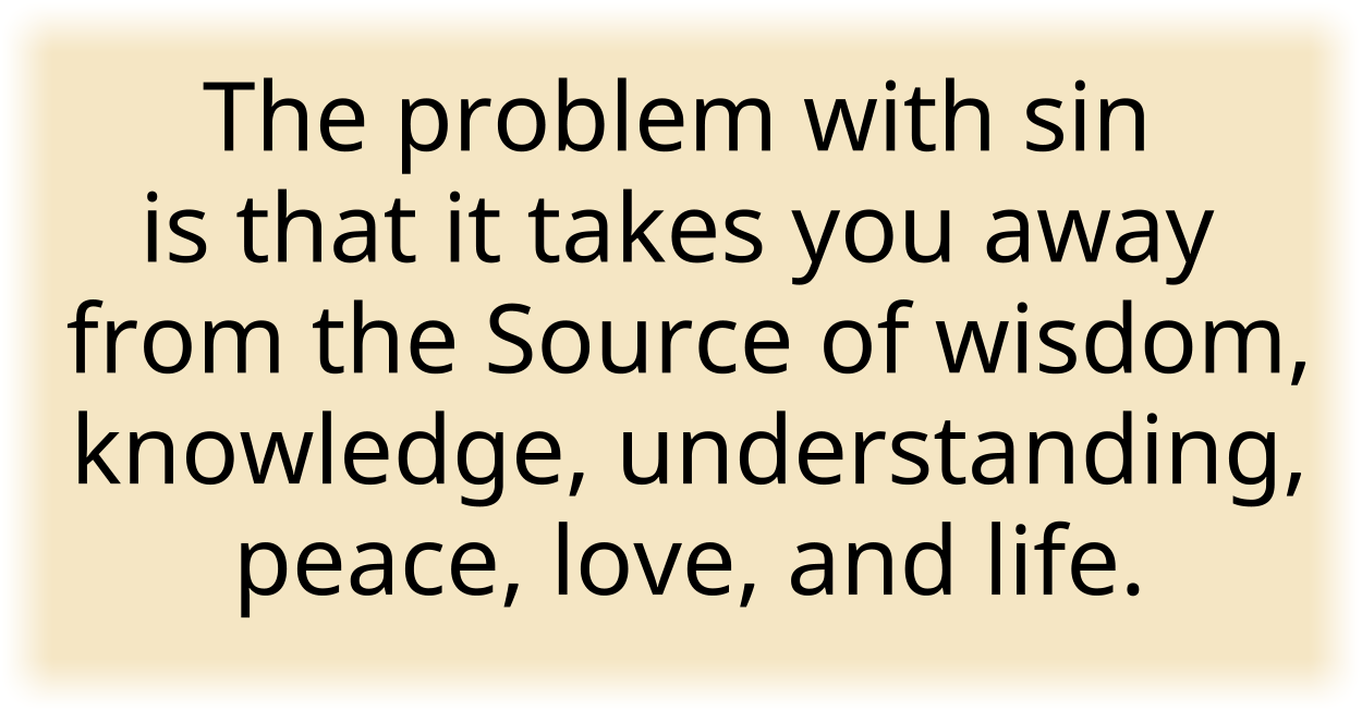 The problem with sin is that it takes you away from the Source of wisdom, knowledge, understanding, peace, love, and life. 