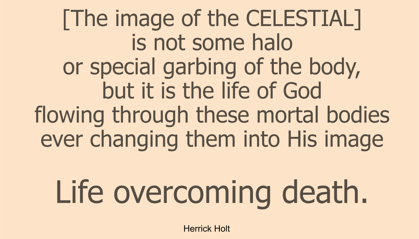 [The image of the CELESTIAL] is not some halo or special garbing of the body, but it is the life of God flowing through these mortal bodies ever changing them into His image….Life overcoming death.