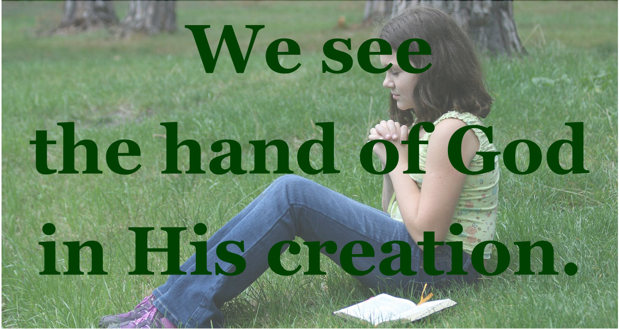 We see the hand of God in His creation.