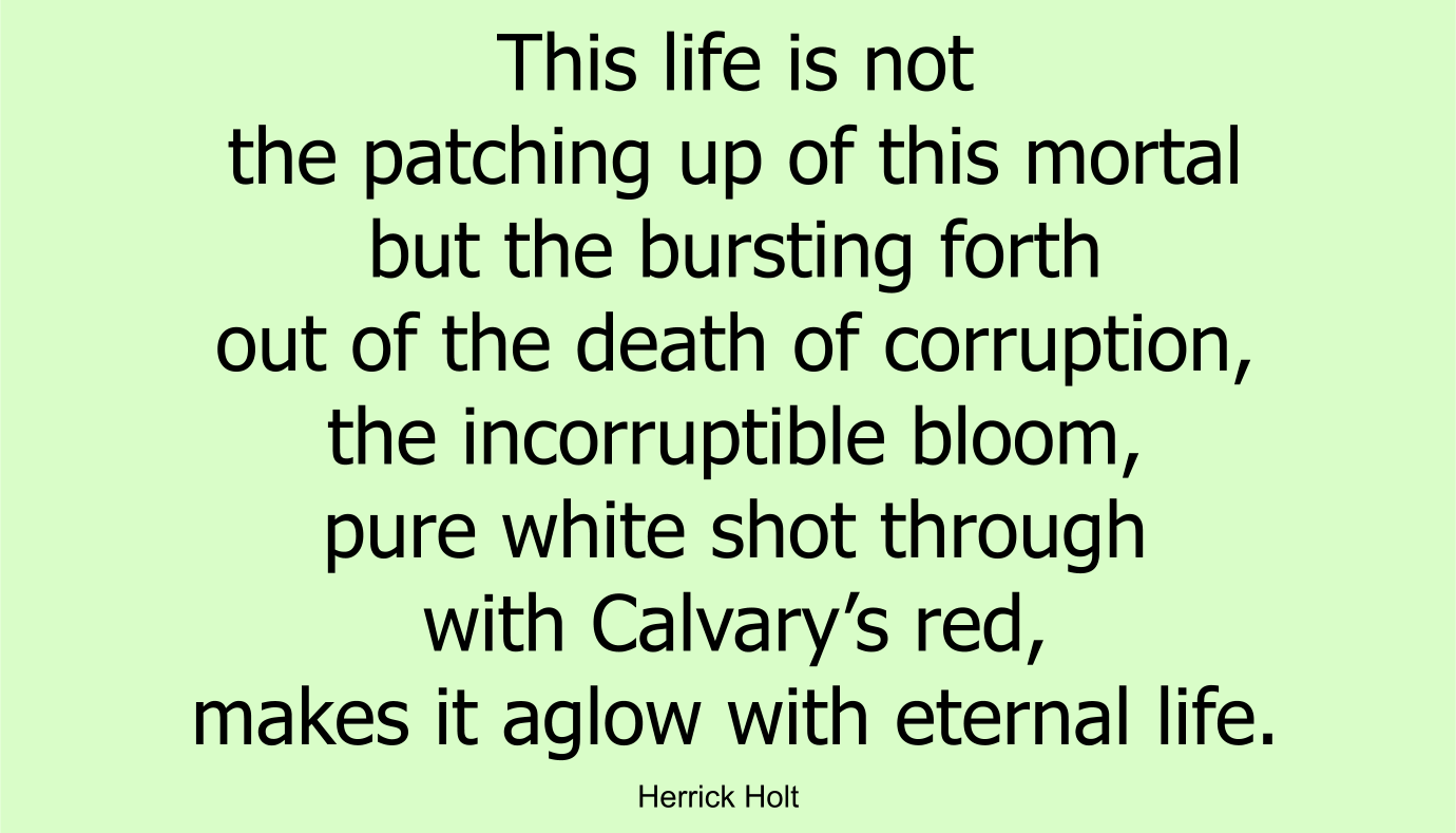 This life is not the patching up of this mortal but the bursting forth out of the death of corruption, the incorruptible bloom, pure white shot through with Calvary’s red, makes it aglow with eternal life.