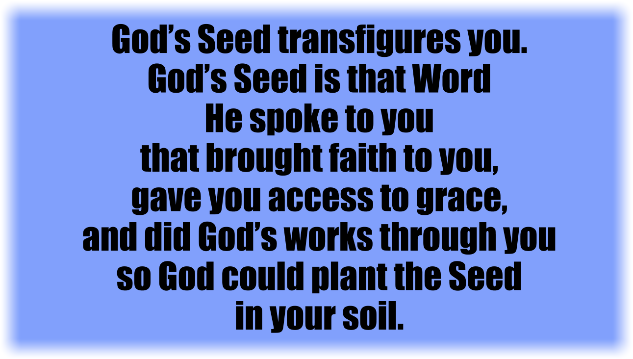 God’s Seed is that Word He spoke to you that brought faith to you