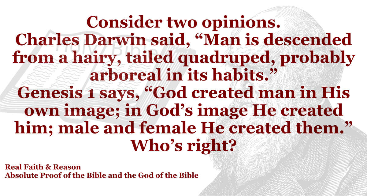 Darwin: Man from hairy, tailed quadruped. Genesis: God created man from the dust.