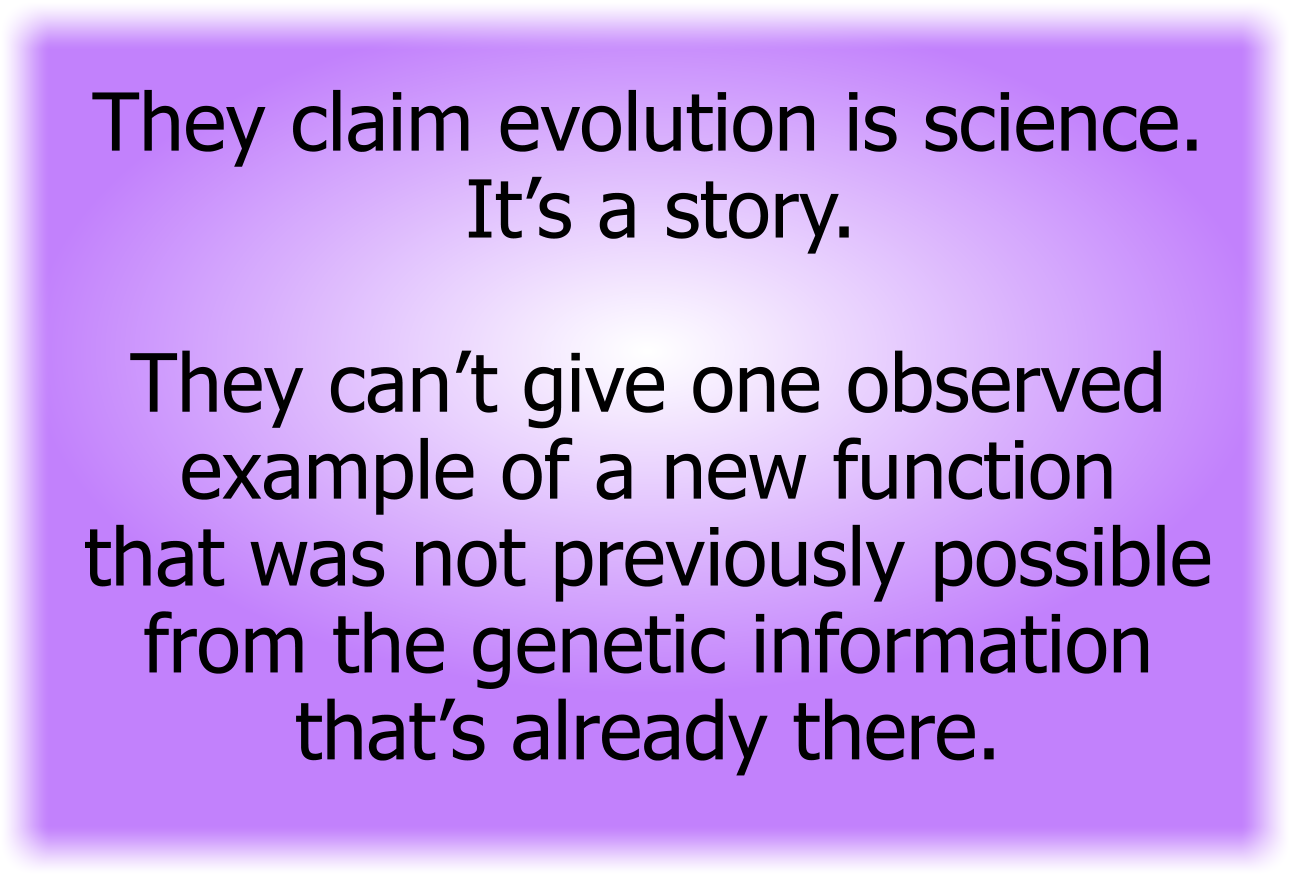 They claim evolution is science. It’s a story.