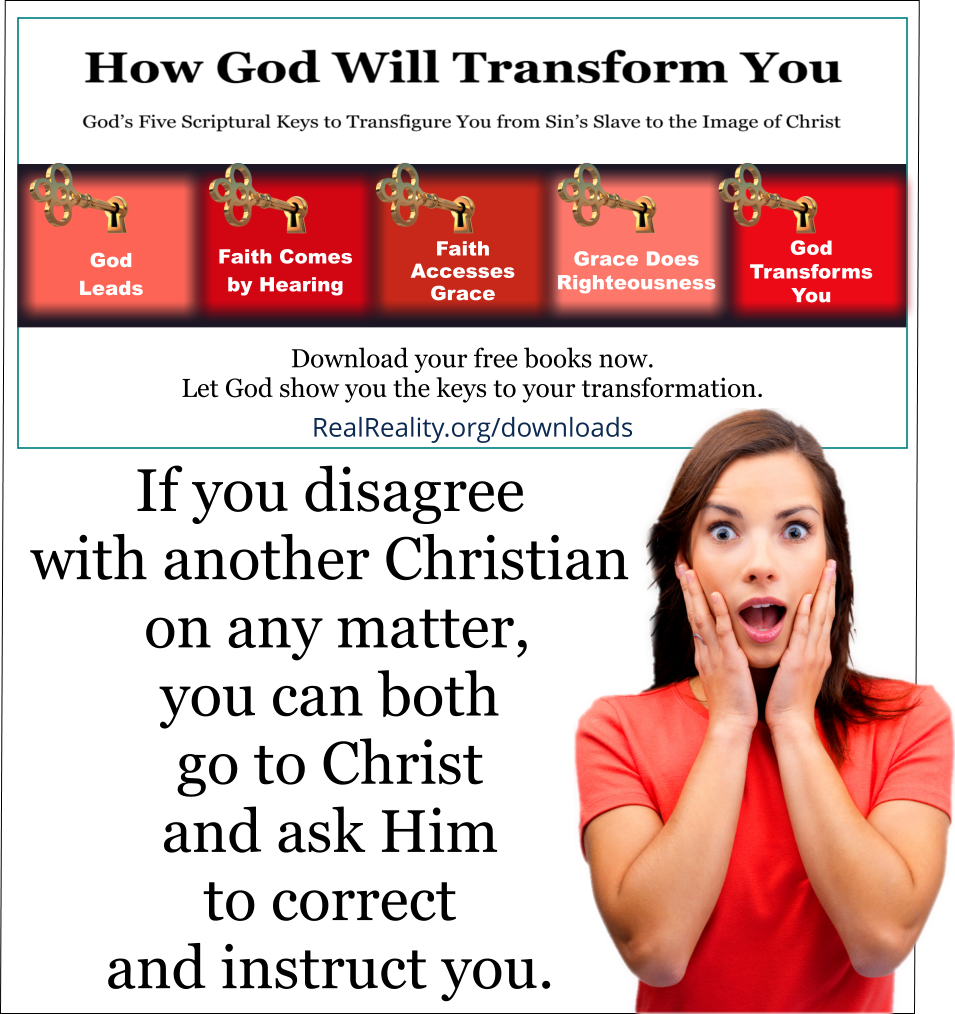 If you disagree with another Christian on any matter, you can both go to Christ and ask Him to correct and instruct you. 
(Quote from https://realreality.org/downloads/how-god-will-transform-you/)
