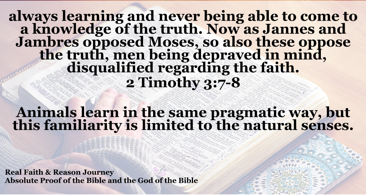 The Brute Beast Mind Learns what Seems to Work by Trial and Error. Animals learn in the same pragmatic way, but they are limited to the natural senses. They have no way to reason to truth. They want to argue about truth, but they are irrational when they do so.
