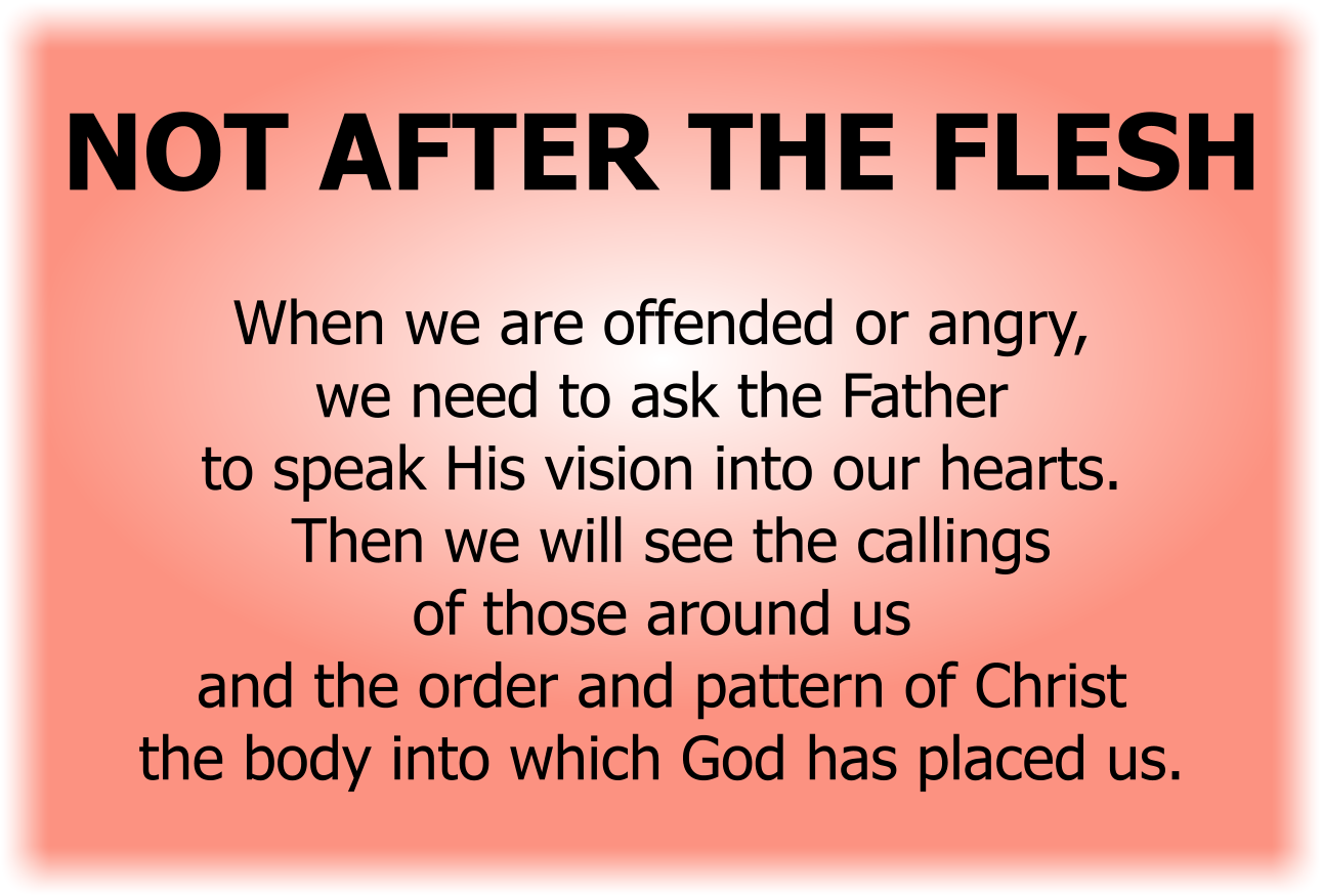 NOT AFTER THE FLESH