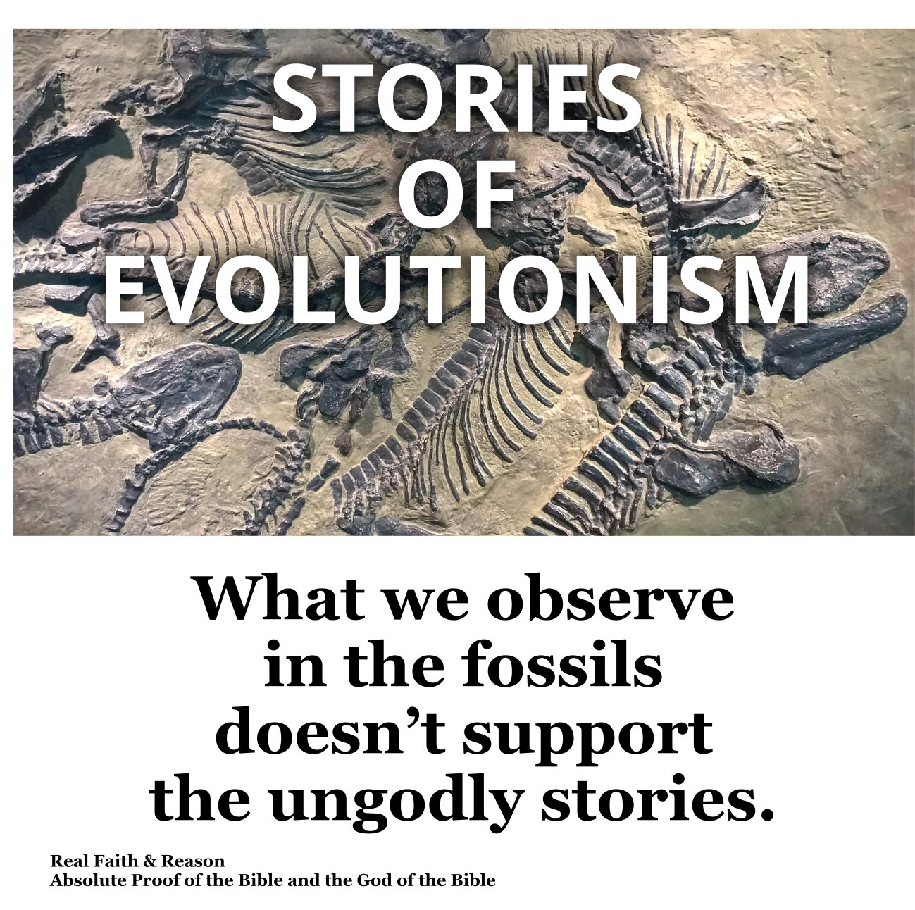 Stories of Evolutionism: The observations don’t match the stories. The stories are lies.