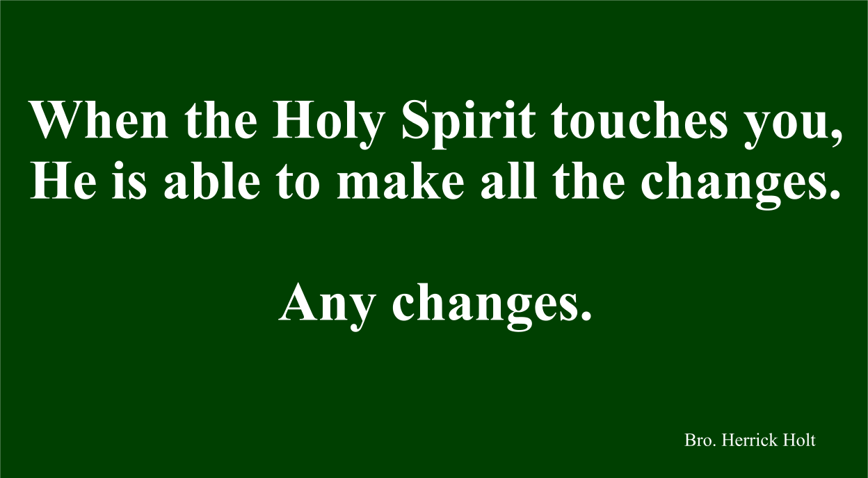 When the Holy Spirit touches you, He is able to make all the changes.