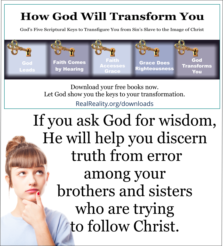 If you ask God for wisdom, He will help you discern truth from error among your brothers and sisters who are trying to follow Christ. 
(Quote from https://realreality.org/downloads/how-god-will-transform-you/)
