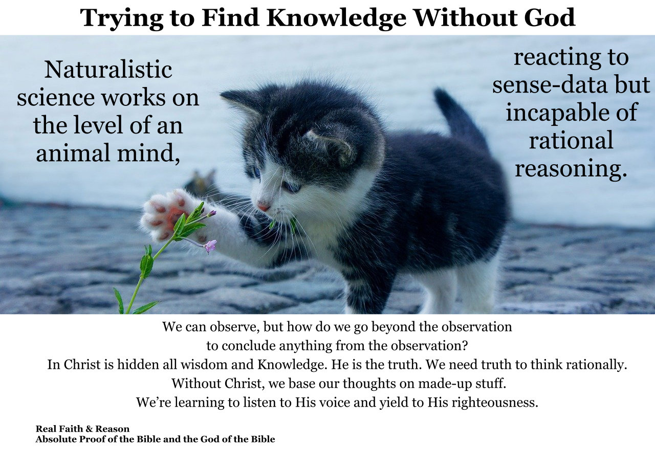 Trying to find knowledge without God is insanity.