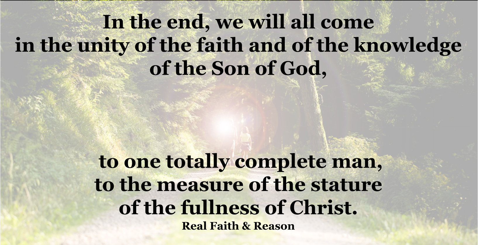 We will all come to the unity of the faith and of the knowledge of the Son of God.