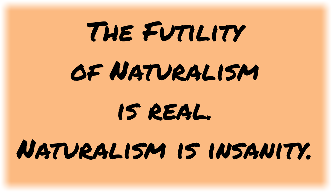The Futility of Naturalism is real. Naturalism is insanity.