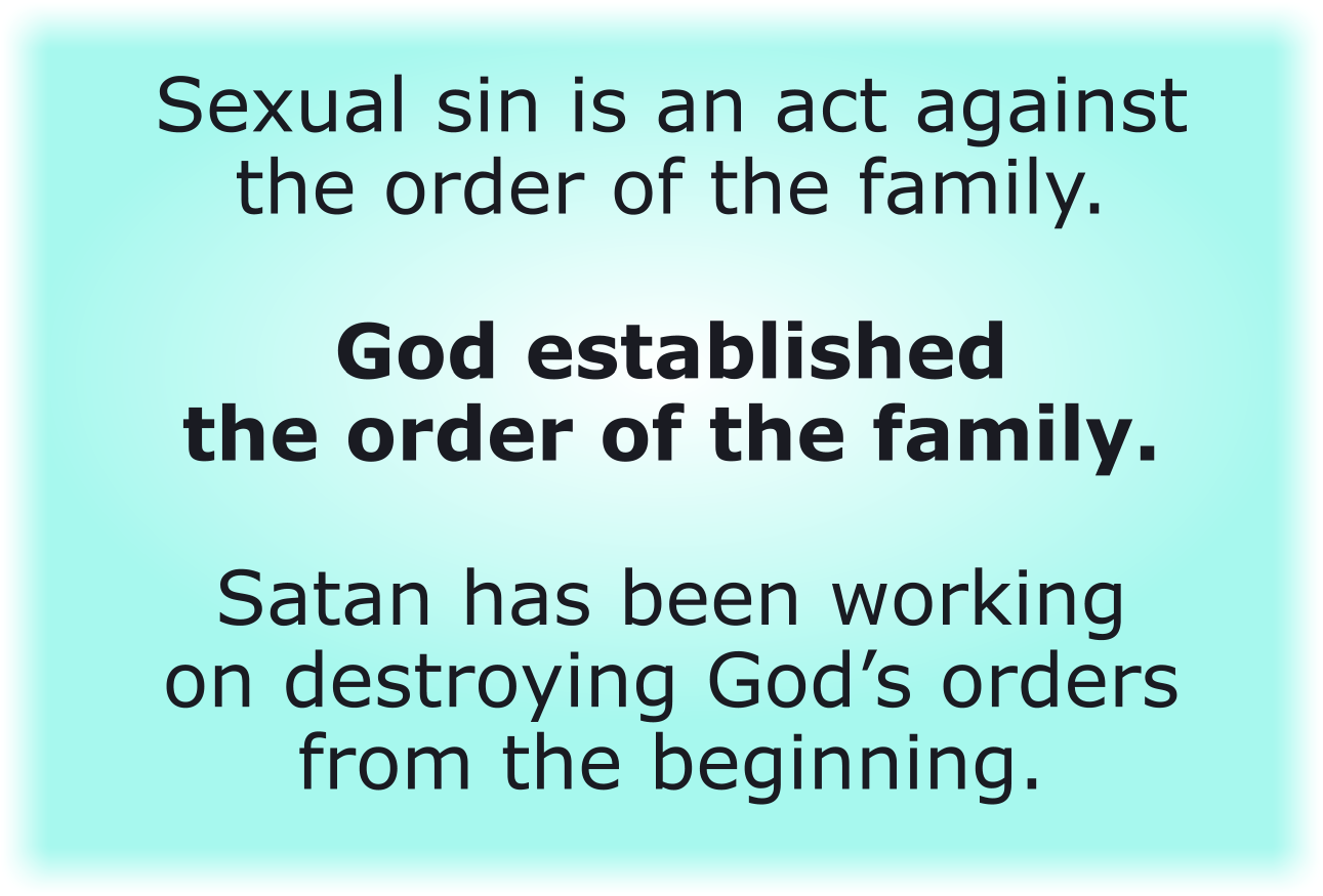 Sexual sin is an act against God's order for the family.