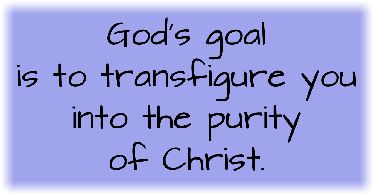 God’s goal is to transfigure you into the purity of Christ. 
