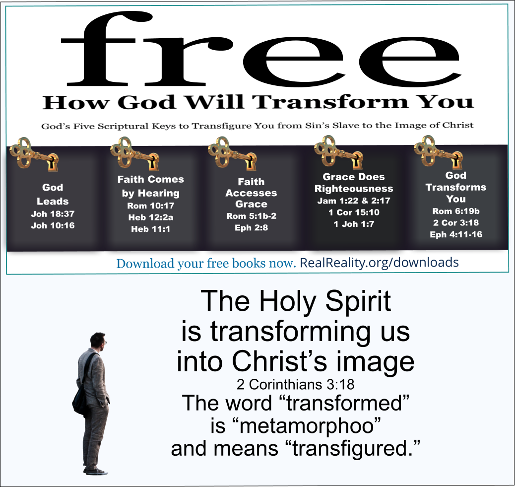 The Holy Spirit transfigures you from glory to glory, into the image of Christ.