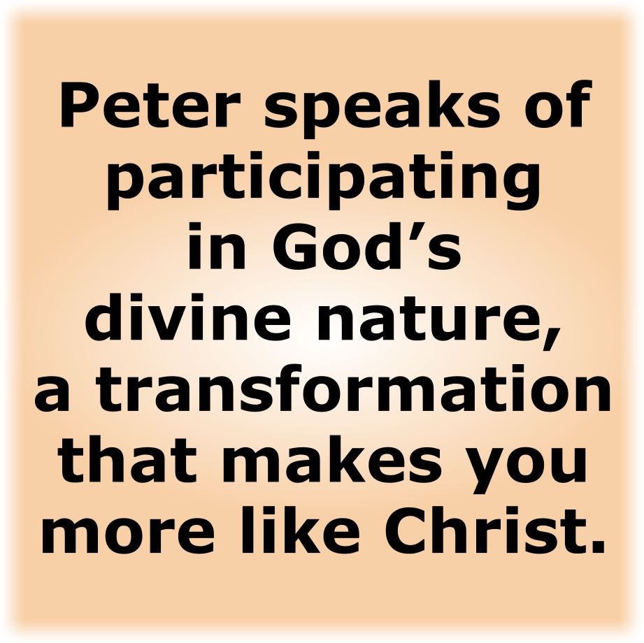 Peter speaks of participating in God’s divine nature, a transformation that makes you more like Christ.