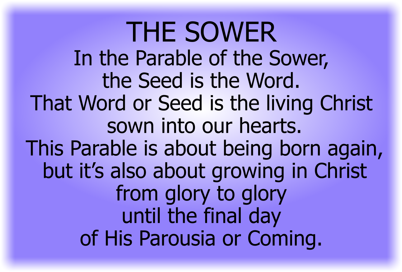 THE SOWER