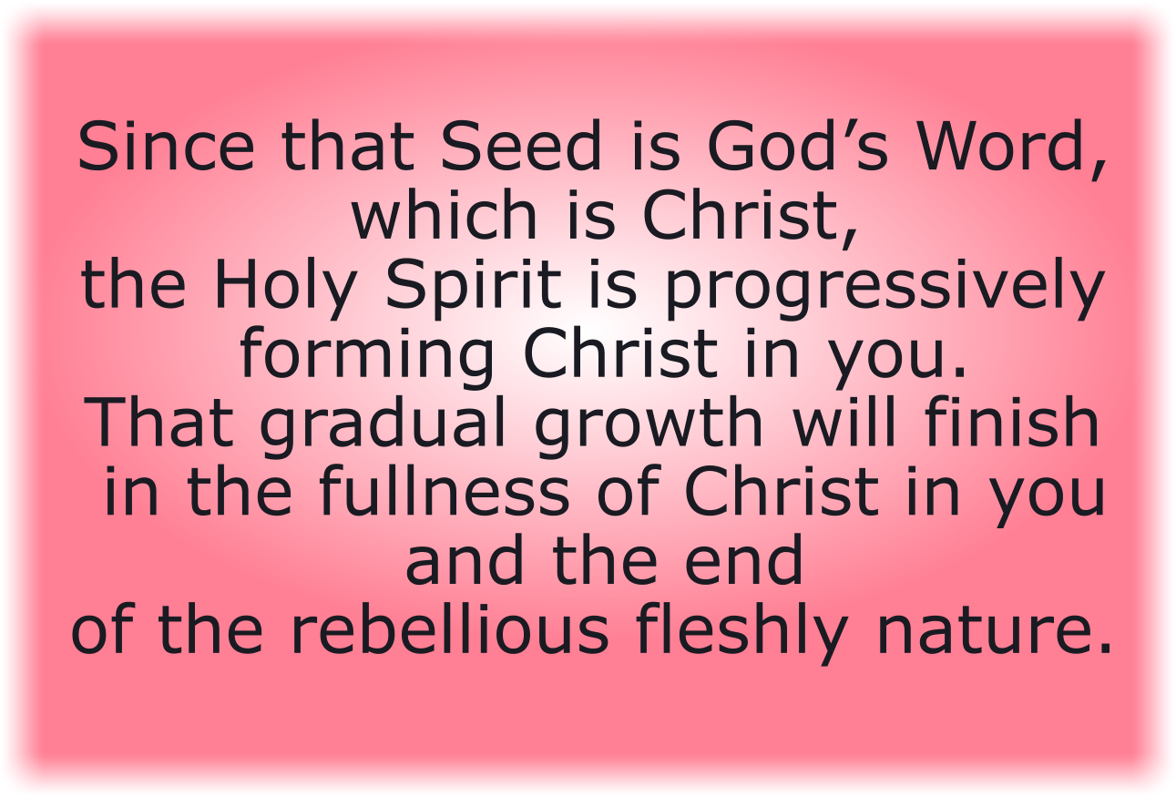 Seed is God’s Word, which is Christ
