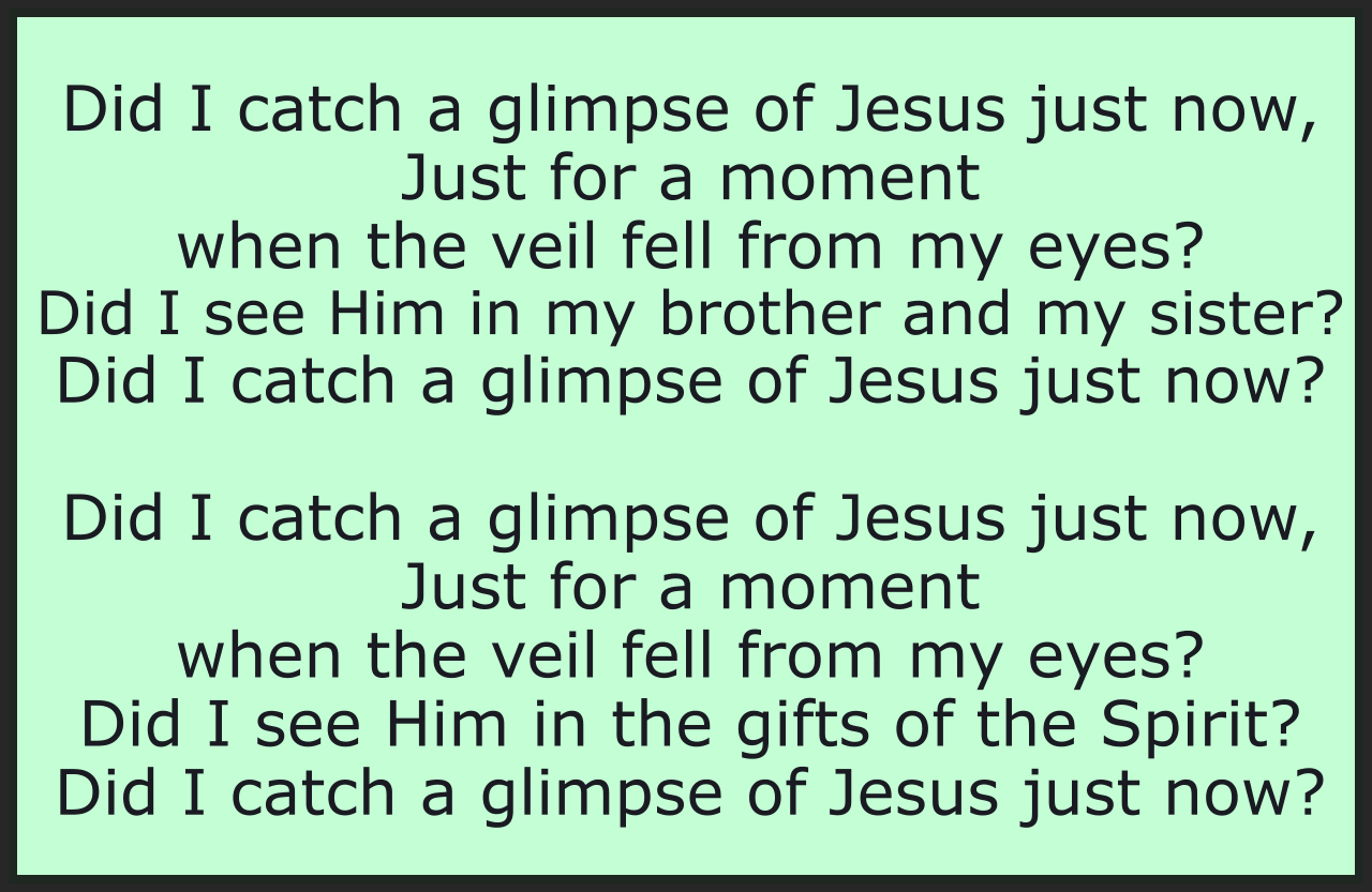DID I CATCH A GLIMPSE OF JESUS JUST NOW?