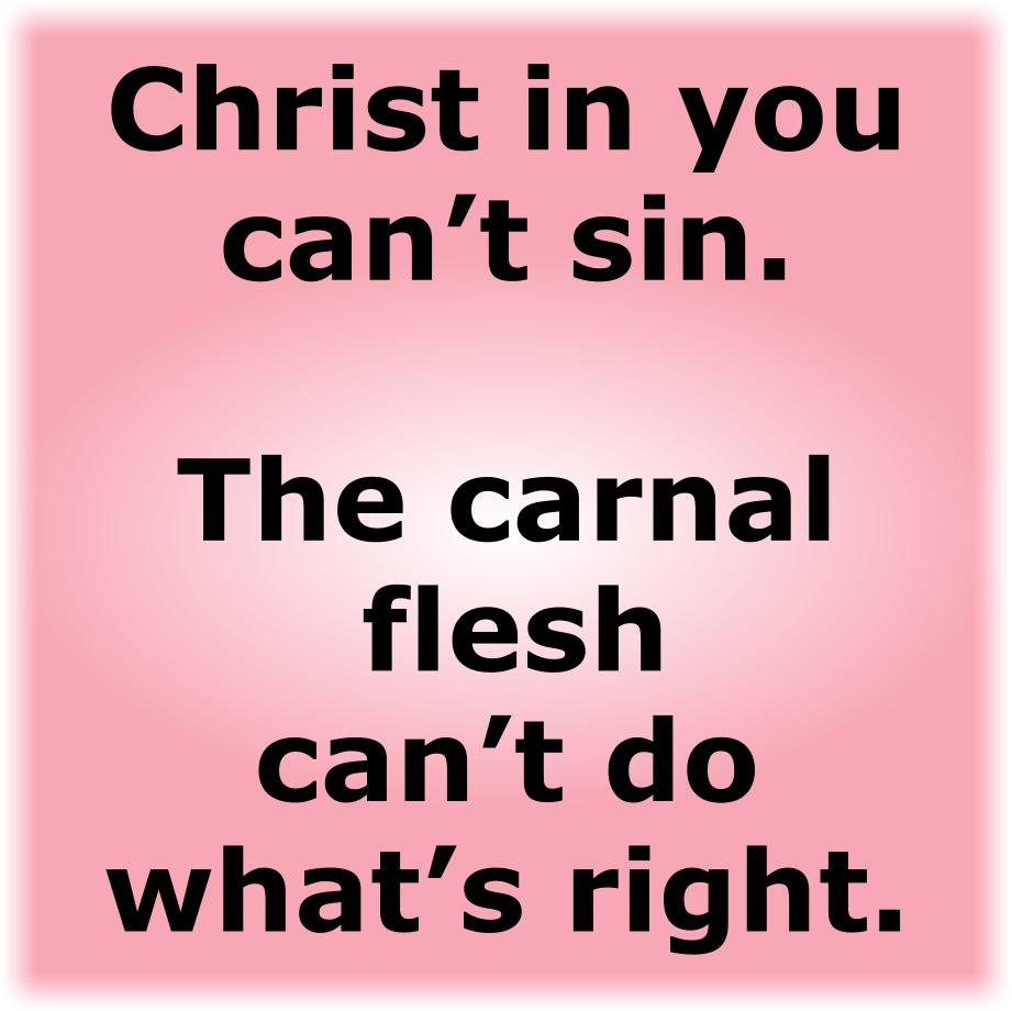 Christ in you can’t sin.