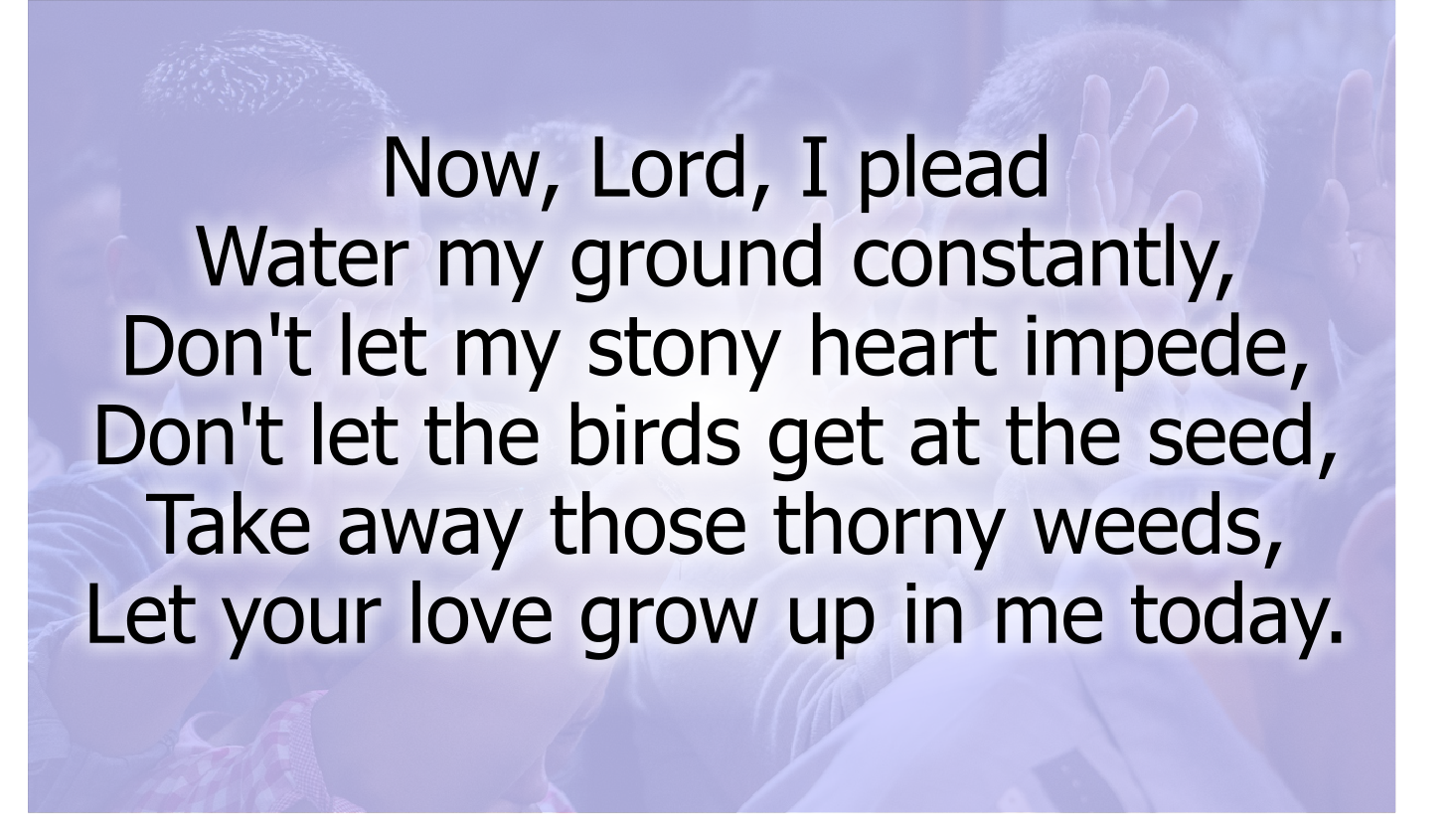 https://freegospelmusic.org/songs/i-have-the-seed/

I have the seed 
It's the seed of the fruit of Love flowing out from me. 
I see the weed 
I see a fruit that is deceptive hanging on the tree. 
I have a need 
For the fullness of the Love of God flowing out from me. 
Now, Lord, I plead 
Water my ground constantly, 
Don't let my stony heart impede, 
Don't let the birds get at the seed, 
Take away those thorny weeds, 
Let your love grow up in me today.

Copyright Bob and Kathy Stenson, Freeware. Use it freely. 
