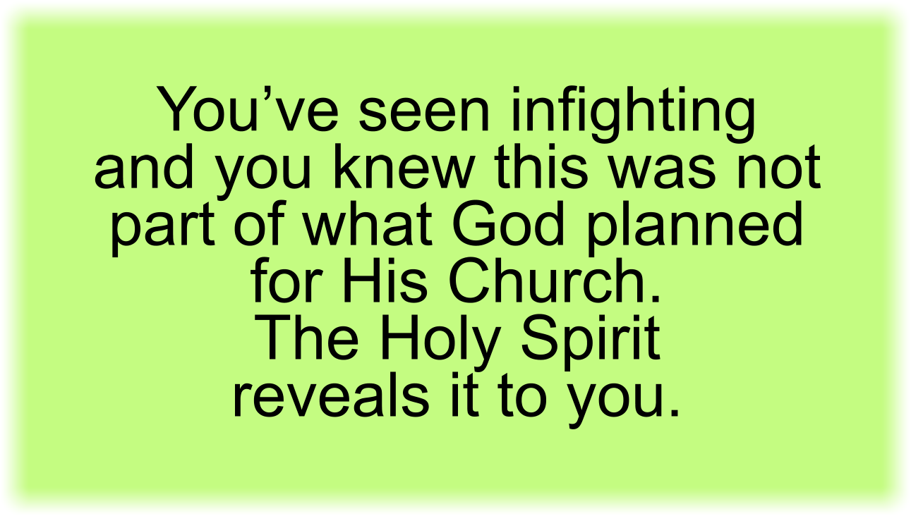 You’ve seen infighting and you knew this was not part of what God planned for His Church. The Holy Spirit reveals it to you.