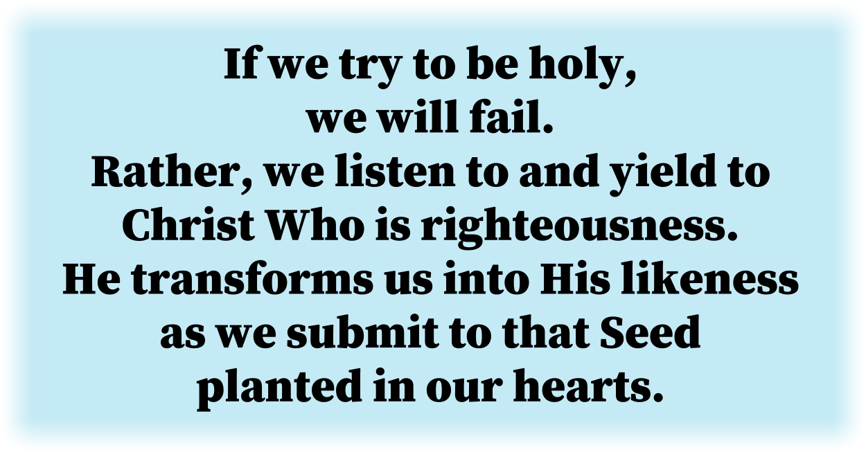 If we try to be holy, we will fail.