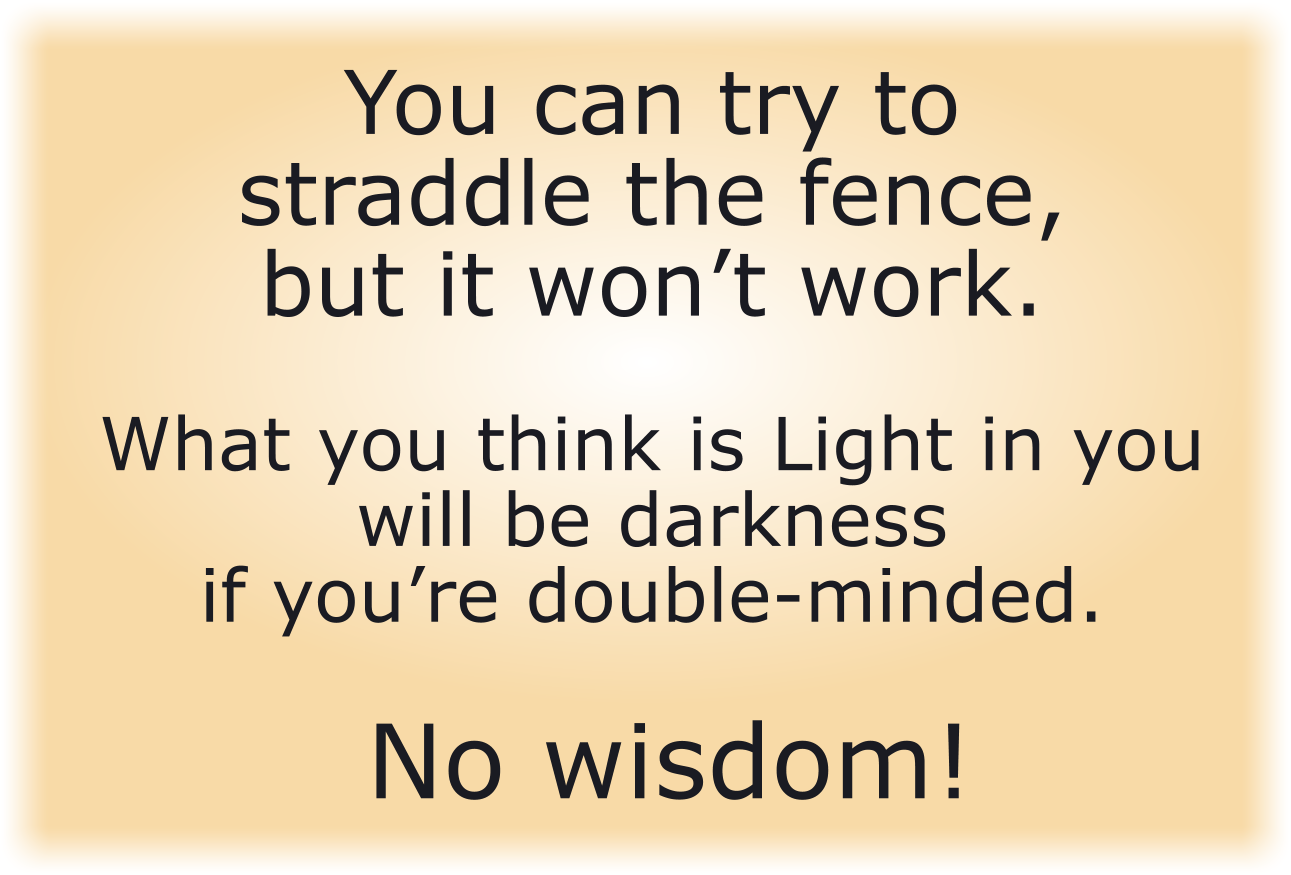 You can try to straddle the fence, but it won’t work.