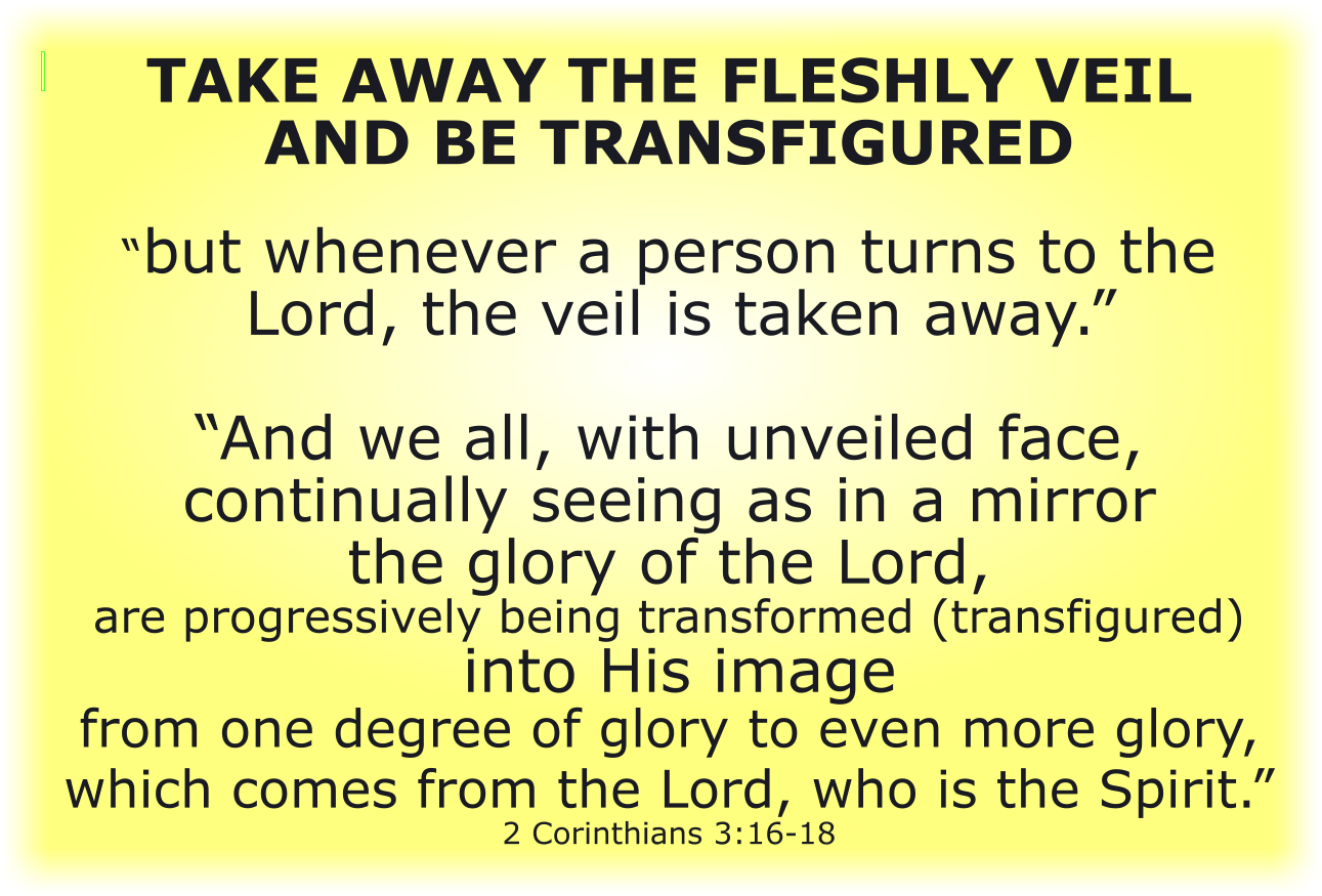 TAKE AWAY THE FLESHLY VEIL AND BE TRANSFIGURED