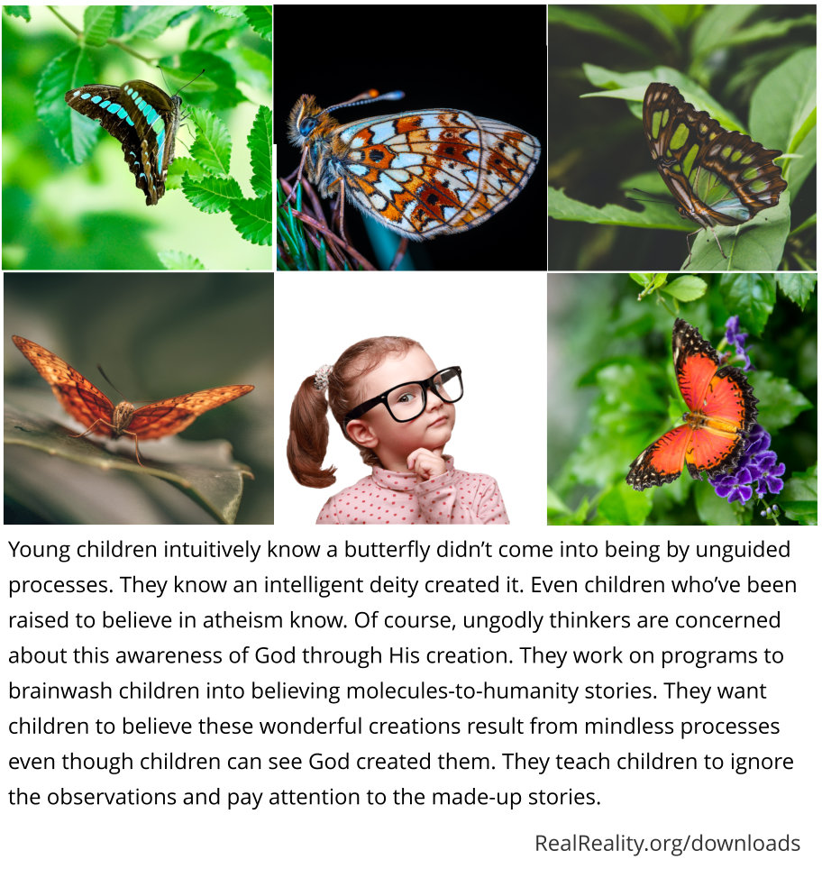 Young children intuitively know a butterfly didn’t come into being by unguided processes.