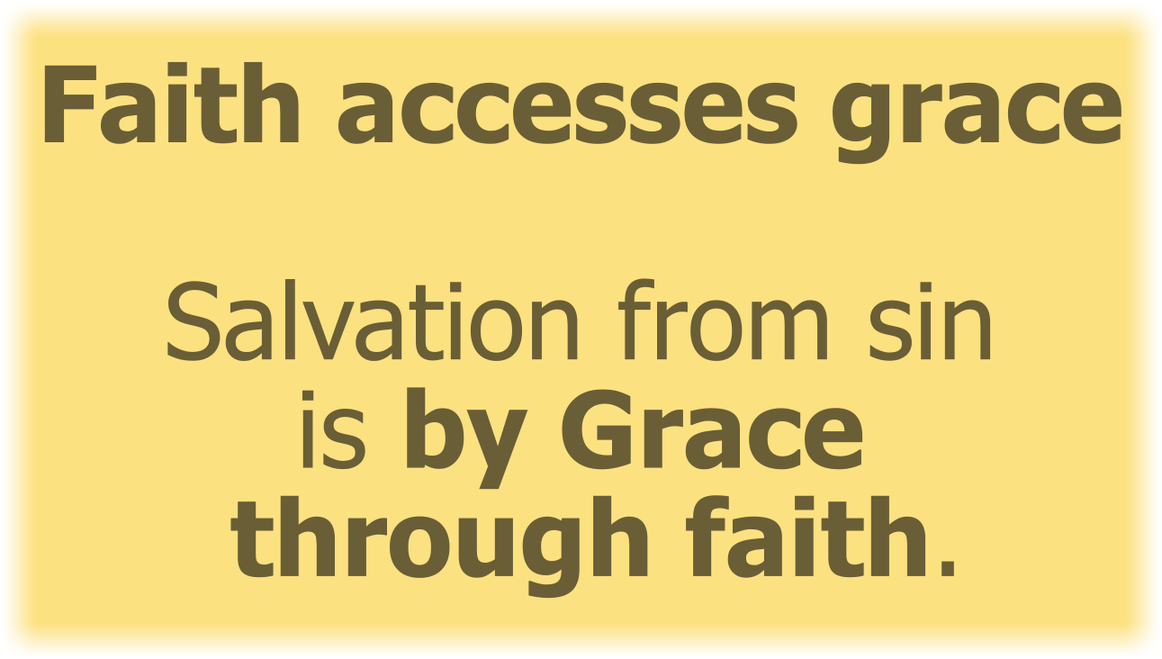 Faith accesses Grace. By Grace, which is through Faith