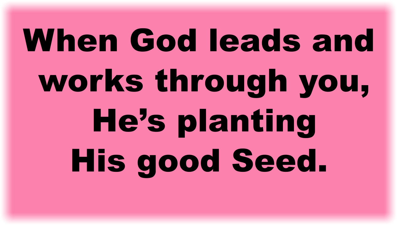 When God leads and works through you, He’s planting His good Seed.