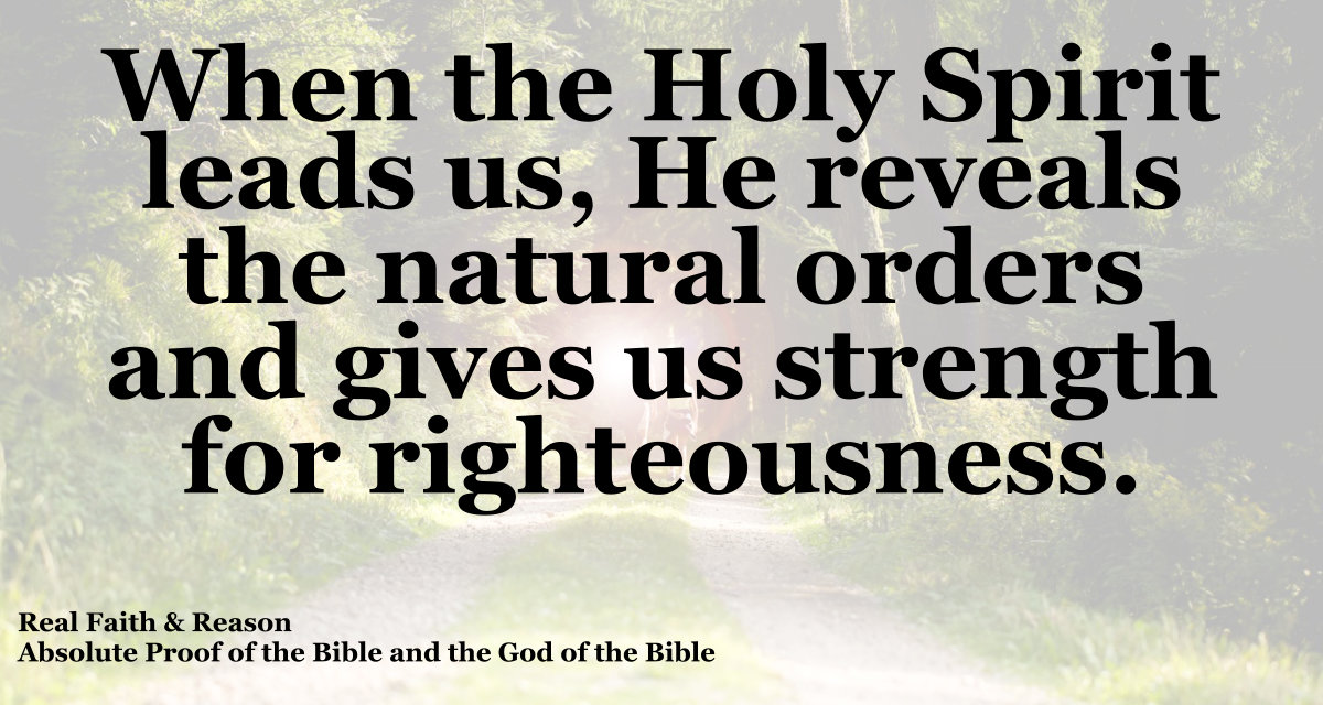 When the Holy Spirit leads us, He reveals the natural orders and gives us strength for righteousness.